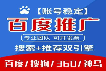 SEM代运营服务公司案例分析：数据驱动营销策略